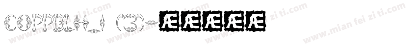 COPPBLH_1 (3)字体转换